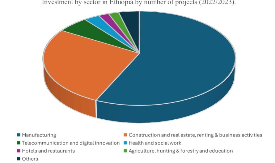 Economic Development in Ethiopia: A General Understanding of Ethiopia’s Growth in the 21st Century